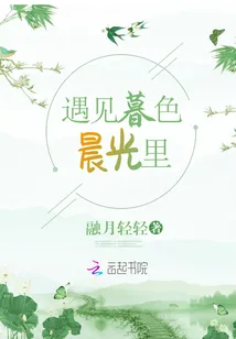 《遇见暮色晨光里》封面