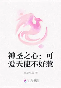 《神圣之心：可爱天使不好惹》封面