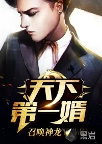 《天下第一婿》封面