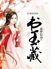 《书玉藏》封面