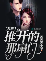《苏惟推开的那扇门》封面