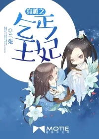 《穿越之乞丐王妃》小说封面