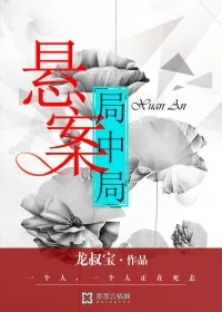 《悬案局中局》封面