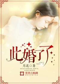 《此婚了了》小说封面