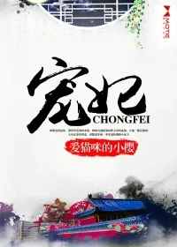 《宠妃》封面