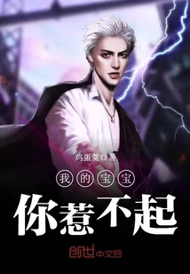 《我的宝宝你惹不起》封面