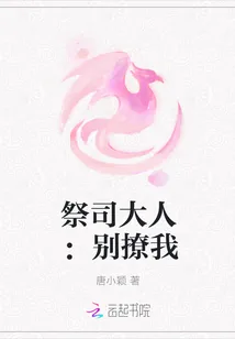 《祭司大人：别撩我》封面