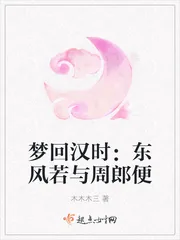 《梦回汉时：东风若与周郎便》封面