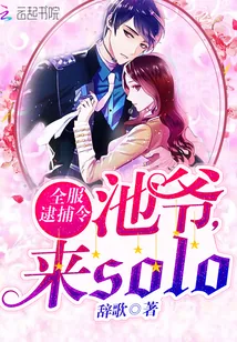 《全服逮捕令：池爷，来solo》封面