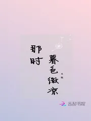 《那时暮色微凉》封面
