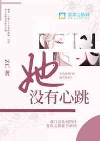 《她没有心跳》封面