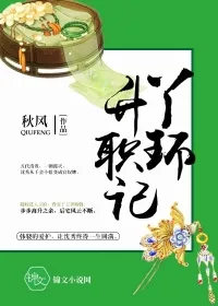 《丫环升职记》封面