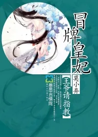 《冒牌皇妃：王爷请指教》封面