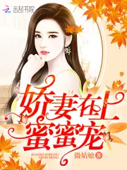 《娇妻在上，蜜蜜宠！》封面