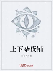 《上下杂货铺》封面