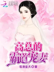 《高总的霸道宠妻》封面