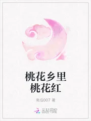 《桃花乡里桃花红》封面