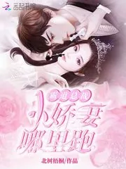 《霸道总裁：小娇妻，哪里跑！》封面