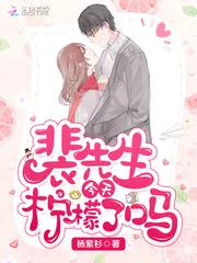 《裴先生今天柠檬了吗》封面