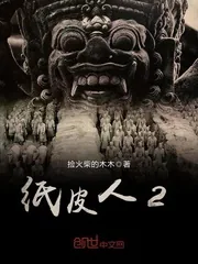 《纸皮人2》封面