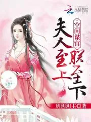 《空间谋宫：夫人至上，朕至下》封面