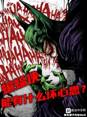 《蝙蝠侠能有什么坏心思》小说封面