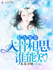 《亿万宠妻：入骨相思谁能知》封面