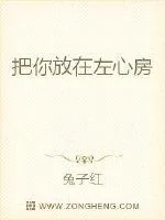 《把你放在左心房》封面