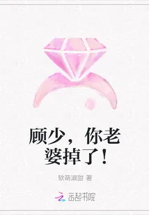 《顾少，你老婆掉了！》封面