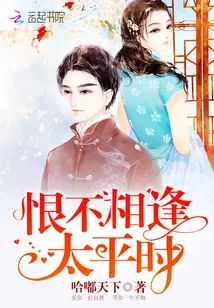 《恨不相逢太平时》封面