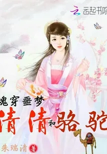 《魂穿噩梦：清清和骆驼》封面