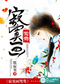 《寂寞画鸳鸯》封面
