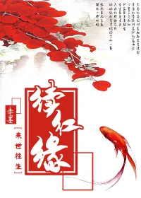 《续红缘之来世往生》封面