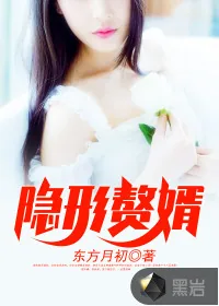 《隐形赘婿》封面