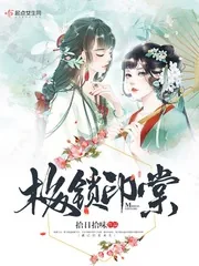 《梅锁印棠》封面