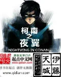 《柯南之夜翼》封面