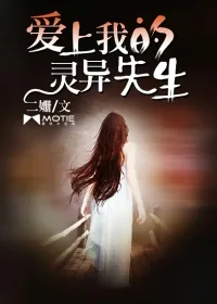 《爱上我的沈先生》封面