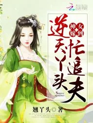 《神女嫁到：逆天丫头忙追夫》封面