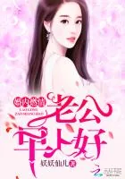 《婚内燃情：老公，早上好》封面
