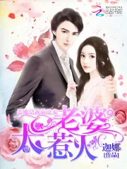 《恶魔总裁霸道宠：老婆，太腹黑》小说封面