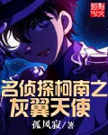 《名侦探柯南之灰翼天使》封面