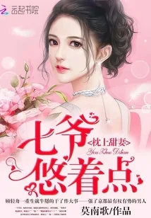《枕上甜妻：七爷，悠着点》封面