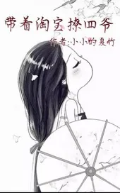 《带着淘宝撩四爷》封面