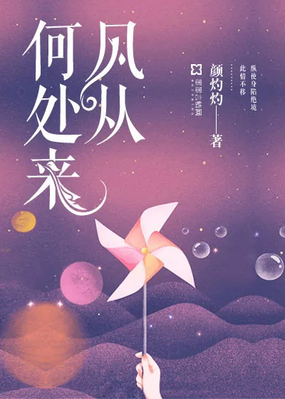 《风从何处来》封面