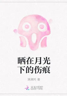 《晒在月光下的伤痕》封面