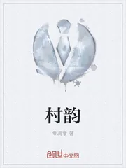 《村韵》封面