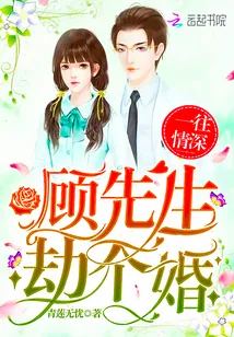 《一往情深：顾先生，劫个婚》封面