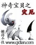 《神奇宝贝之灾厄》封面