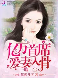 《一胎二宝：亿万首席爱妻入骨》封面