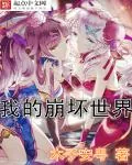 《我的崩坏世界》封面
